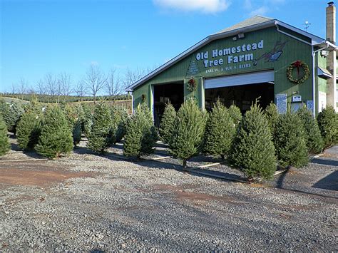 old homestead tree farm|lake forest gardens.